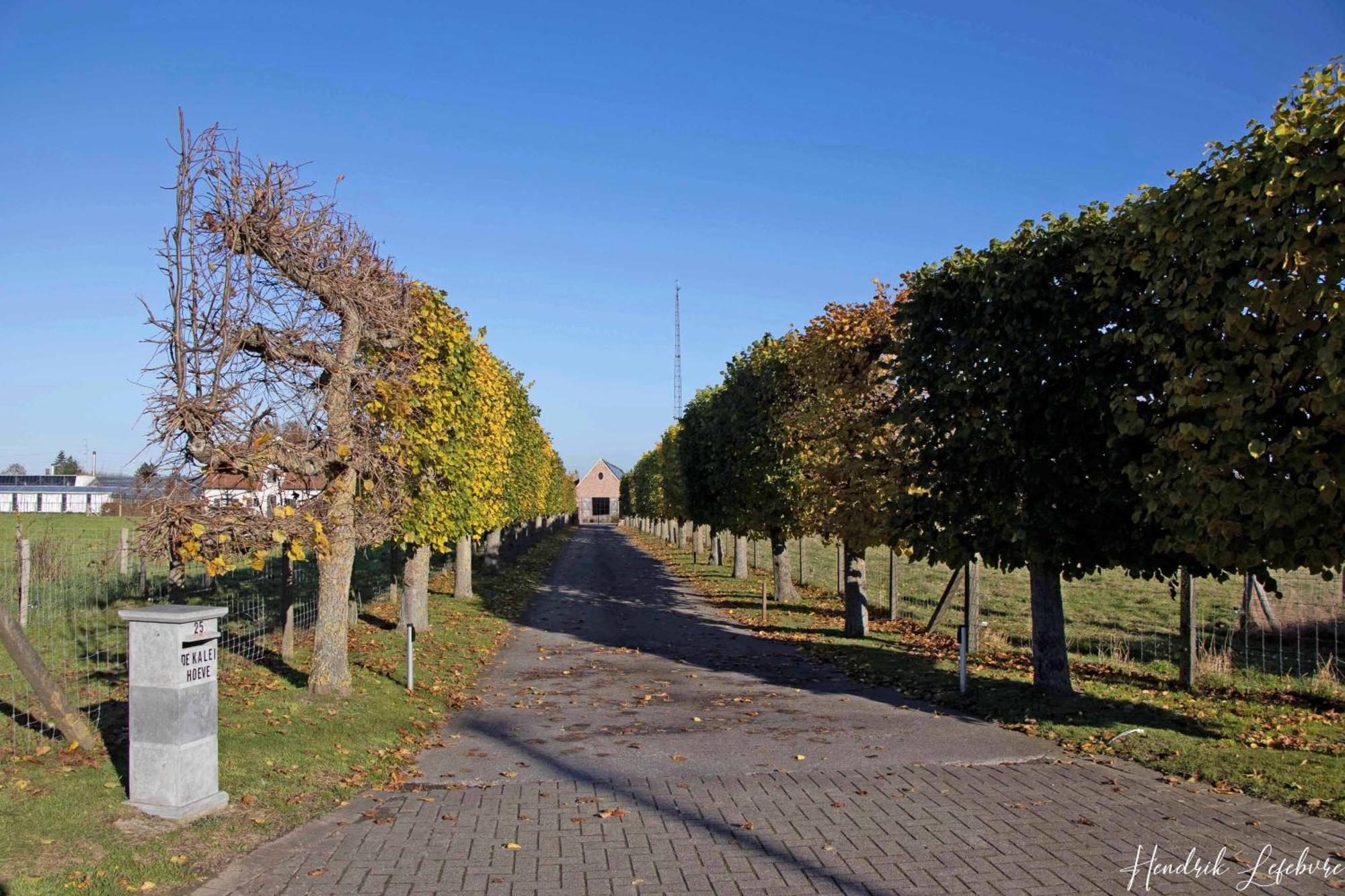 De Kaleihoeve Bavikhove Exteriér fotografie
